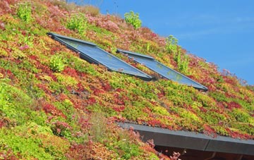 Pitchers Green living roof systems