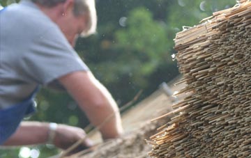 professional Pitchers Green thatchers